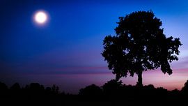 Volle maan op een heldere avond by GeFo @photo