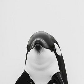 Orca von Poster Art Shop