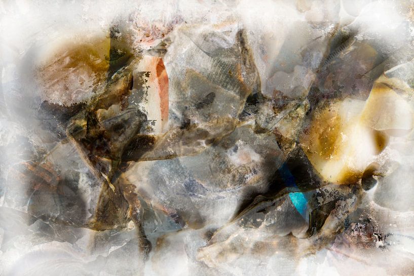 oysters by Gerard Wielenga