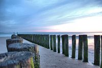 Wellenbrecher an der Küste von Zeeland