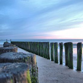 Paalhoofden aan de Zeeuwse kust van Zeeuwse fotograaf