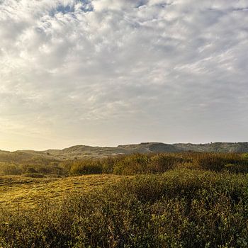 Noord-Hollands duingebied