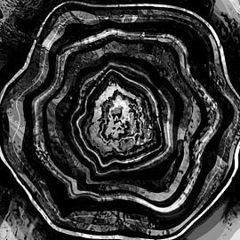 Agate Geode Monochrome by Mad Dog Art
