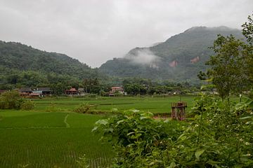 Vallei van Mai Chau