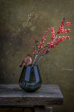 Nature morte au rouge-gorge