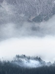 Nebel in den Bergen