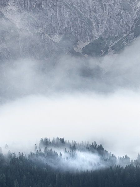 Fog in the mountains by Nils Steiner