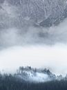 Fog in the mountains by Nils Steiner thumbnail
