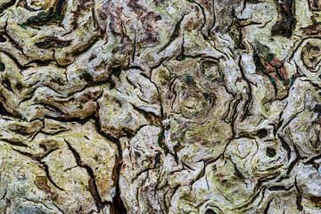 Beestenboel....zoekplaatje uit de natuur van Eugene Winthagen