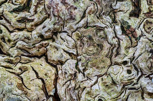 Beestenboel....zoekplaatje uit de natuur