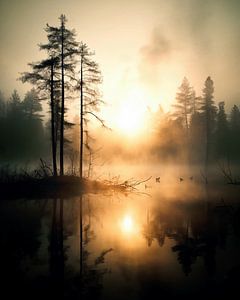 Herbst in Lappland