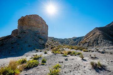 Zonovergoten uitzicht op de Tabernas woestijn van Joke Van Eeghem