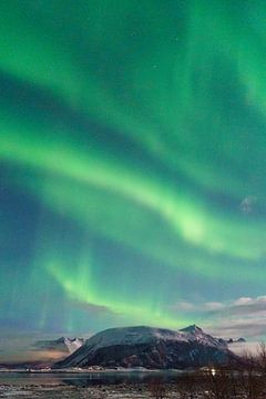 Northern Lights | Lofoten, Norway by Suzanne Spijkers