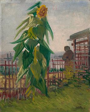 Vincent van Gogh, Moestuin met zonnebloem