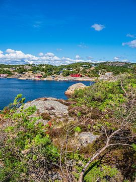 Landscape on the Helleviga peninsula in Norway by Rico Ködder