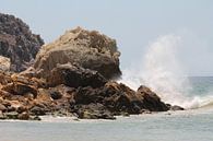 Sea by Hasse Schoo thumbnail
