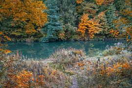 Surrealistic Lake - 1