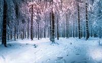 Enjoy the snow by Wim van D thumbnail