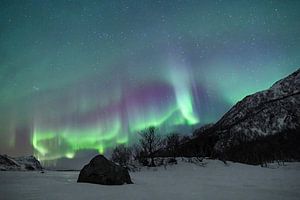Nordlicht über einem zugefrorenen See auf den Lofoten in Norwegen