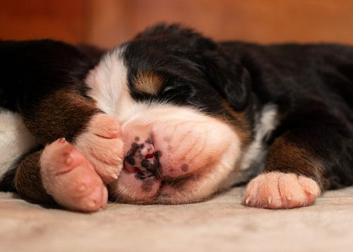 Slapen bij zijn zusje