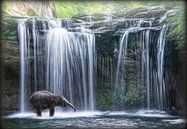 Elefant im Wasserfall von Marcel van Balken Miniaturansicht