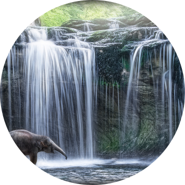 Olifant in waterval van Marcel van Balken