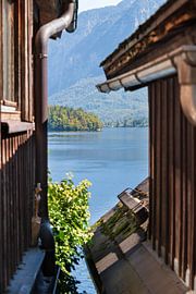 View of the Hallstatt lake by Peter Baier