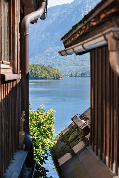 Uitzicht op het Hallstatt-meer van Peter Baier