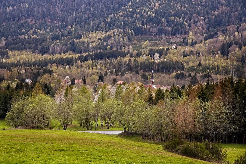 Route des Cretes @ Col du Donon van Rob Boon
