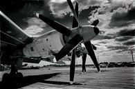 Propellers van de Tupolev 95 van Caught By Light thumbnail