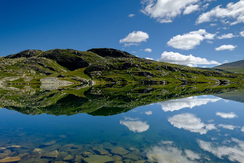 Reflecties in Noorwegen van Koos de Wit
