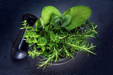 frische Kräuter, Oregano, Rosmarin und Salbei im Mörser mit Stößel aus schwarzem Granit auf dunklem  von Maren Winter