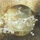 Bloesem. Japandi stijl. Wabi-Sabi. 3 van Alie Ekkelenkamp thumbnail