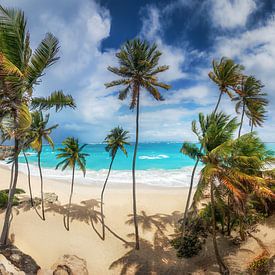 Einsamer Strand mit Palmen auf Barbados in der Karibik.  von Voss Fine Art Fotografie