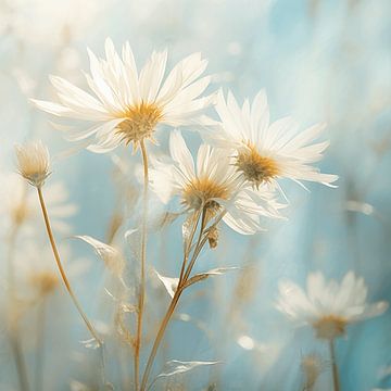 Brise de fleurs apaisante : un hymne au repos et à la chaleur sur Karina Brouwer