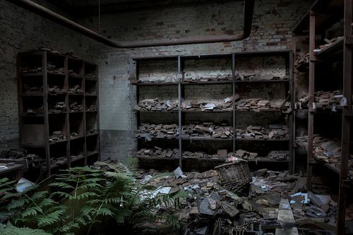 Spinning de laine abandonnée