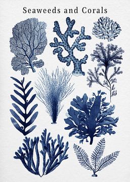 Collectie zeewieren en koralen (blauw) van Gal Design