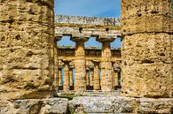  Temple grec à Paestum, Italie par Rietje Bulthuis Aperçu