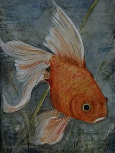 Feng Shui - Goldfisch