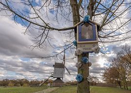 Olen van Pieter van der Zweep