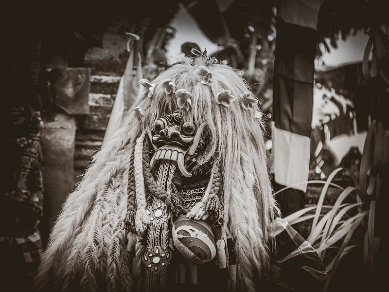 Barong dans van Bianca  Hinnen