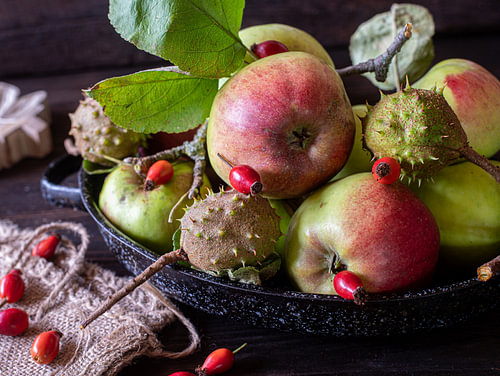Schatten van de late herfst: wilde appels en rozenbottels