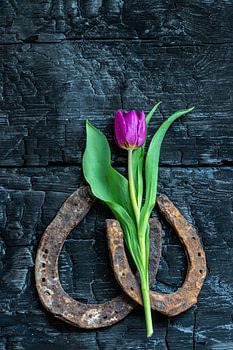 pied de cheval avec fleur