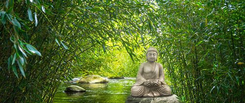 boeddha in het bamboebos