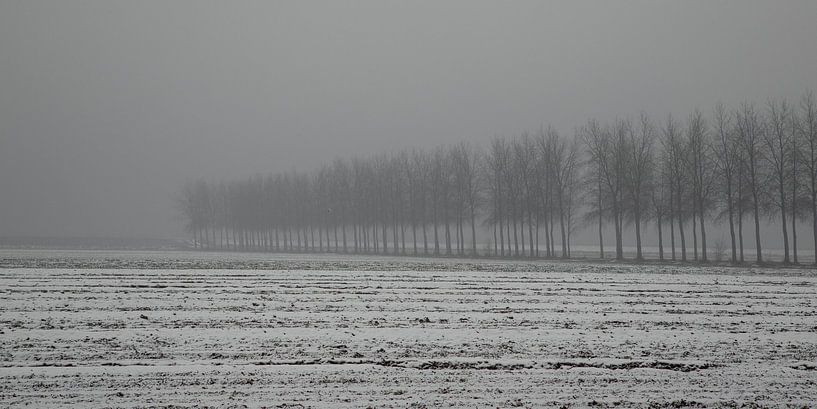 mist in de polder van Annie Keizer