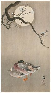 Ohara Koson - Pflaume und Stockenten mit Mond (bearbeitet)