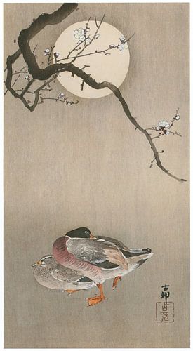 Ohara Koson - Plum and mallard ducks with moon (edited)