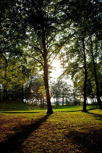 een mooie zomerse dag 
