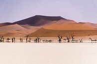 Rode zandduinen in Namibië van Denise van der Plaat thumbnail