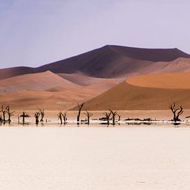 Rode zandduinen in Namibië van Denise van der Plaat